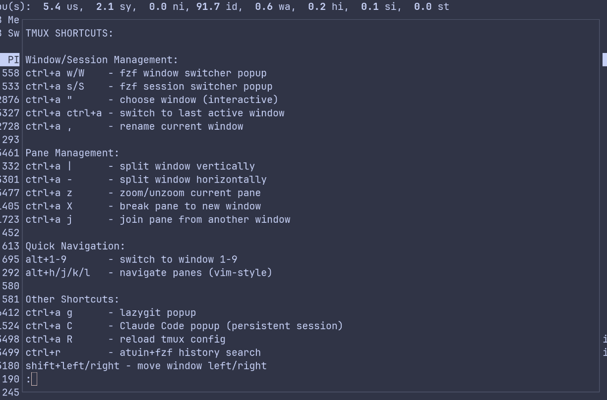 Blog_til_2025-09-19_01-54-26-tmux-popup-shortcuts.png